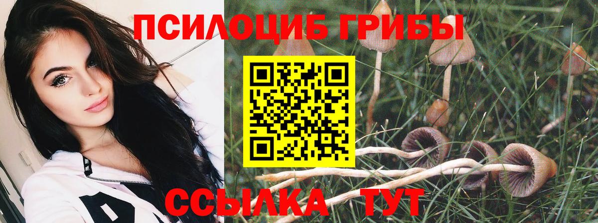 Галлюциногенные грибы GOLDEN TEACHER Серов