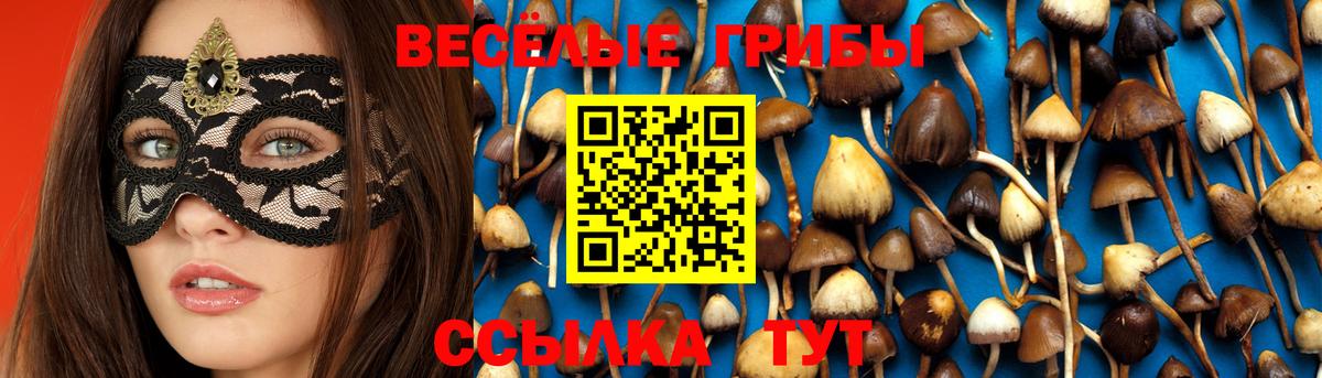 Псилоцибиновые грибы Psilocybe  Вход с VPN  Серов 